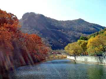 新澳天天开好彩大全，乡村小子闯都市